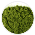 Chlorella