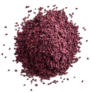 black_raspberry_seed