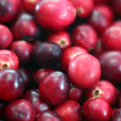 Top 9 Benefits Of Cranberries