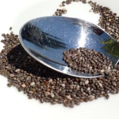 Top Nutritional Benefits of Chia Seeds