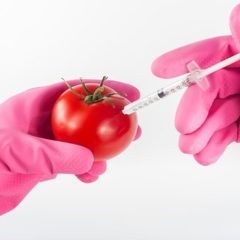 What Are GMO’S?